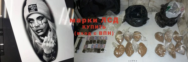 гидра Алексин