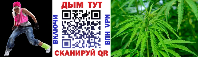Канабис сатива Зеленоградск